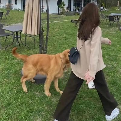 一念花开